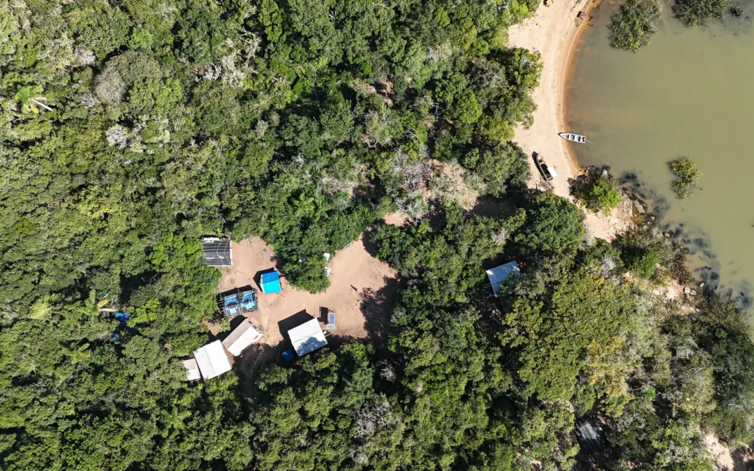 BRASIL DE FATO: Indígenas lutam por direito à consulta em megaprojeto da CMPC que ameaça comunidades no RS: ‘Vão matando nossa cultura, e morremos aos poucos’