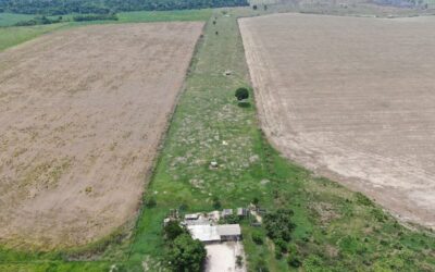 MPF: MPF processa produtores de soja por contaminação de indígenas e degradação ambiental em Seringueiras (RO)