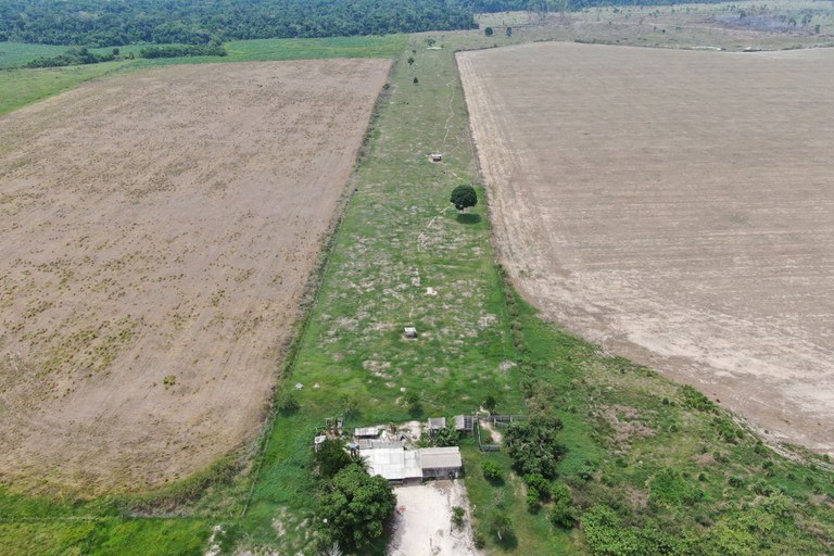 MPF: MPF processa produtores de soja por contaminação de indígenas e degradação ambiental em Seringueiras (RO)