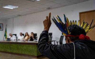 CIMI: Indígenas de Goiás e Tocantins cobram demarcação de terras e denunciam violência e precariedade educacional em Brasília