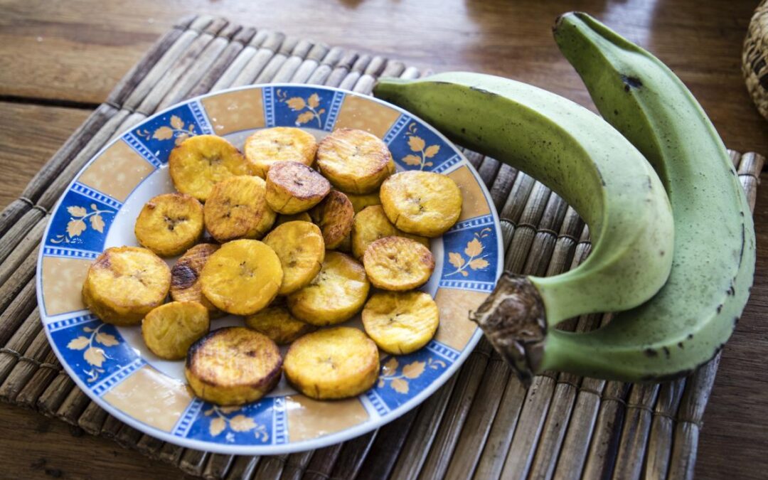 ISA: Povos tradicionais levam saúde, diversidade e clima para a alimentação escolar