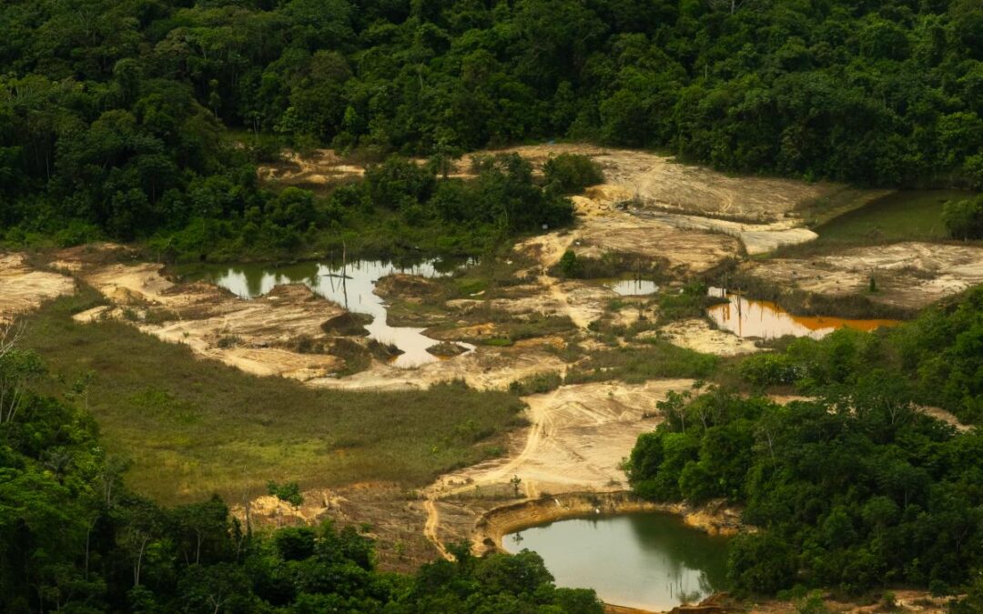 ISA: Relatório aponta redução do garimpo ilegal na Terra Indígena Yanomami, mas invasores persistem com novas táticas