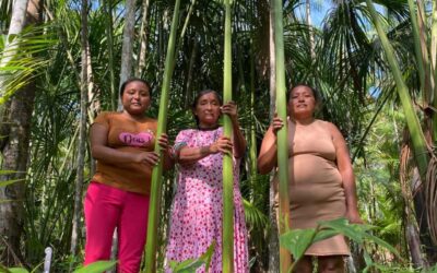 IEB: Abril Indígena: mulheres Warao fortalecem rede de artesanato em Belém