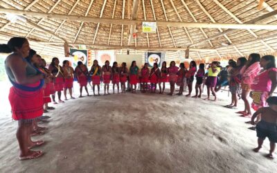 IEPÉ: Fundo Mukuxi é criado para fortalecimento das artes das mulheres indígenas Wayana e Aparai