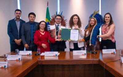 MPI: Governo federal cria nova regra para acelerar transferência de terras públicas a indígenas