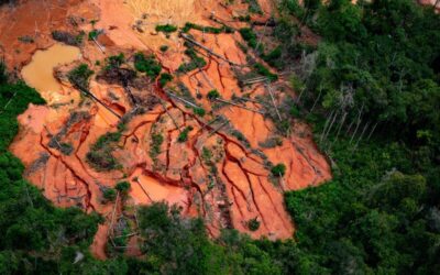 GREENPEACE: Greenpeace detalha esquema de lavagem de ouro na Amazônia