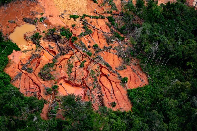 GREENPEACE: Greenpeace detalha esquema de lavagem de ouro na Amazônia