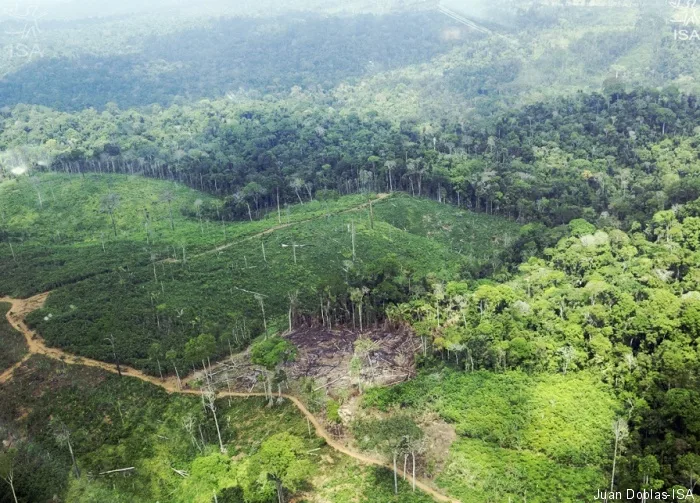 BRASIL DE FATO: STF determina retirada de invasores da Terra Indígena Cachoeira Seca (PA)