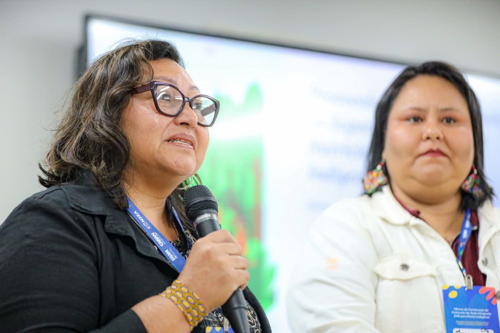 FUNAI: Funai participa de oficina de construção do Protocolo de Segurança Alimentar e Nutricional para Povos Indígenas