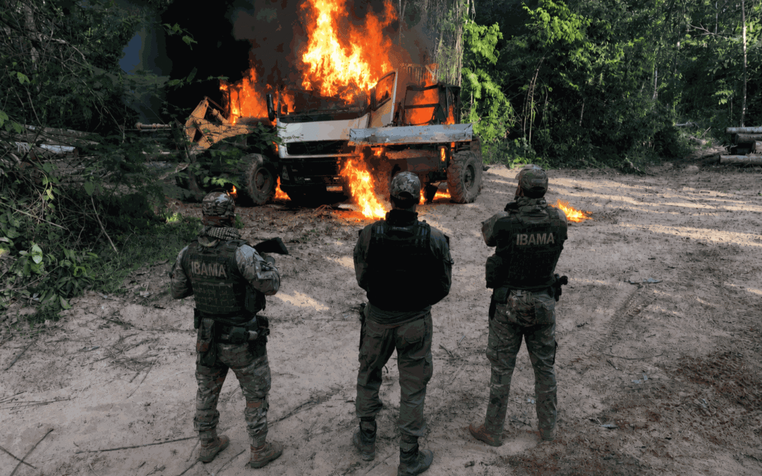 FUNAI: Funai, Ibama e Polícia Civil intensificam fiscalização contra exploração ilegal de madeira em terras indígenas no Mato Grosso