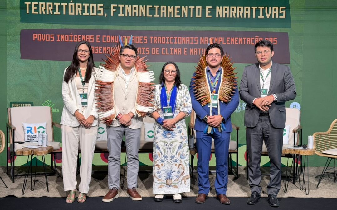 MPI: MPI apresenta resultados históricos na proteção de territórios e combate ao desmatamento