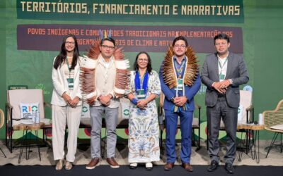 MPI: MPI apresenta resultados históricos na proteção de territórios e combate ao desmatamento