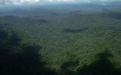 FUNAI: Proteção da Terra Indígena Yanomami registra redução histórica na expansão do garimpo