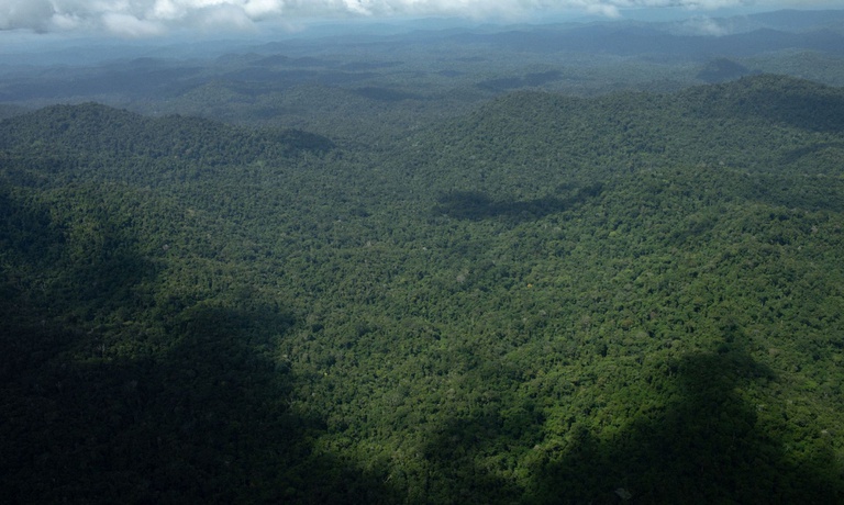 FUNAI: Proteção da Terra Indígena Yanomami registra redução histórica na expansão do garimpo