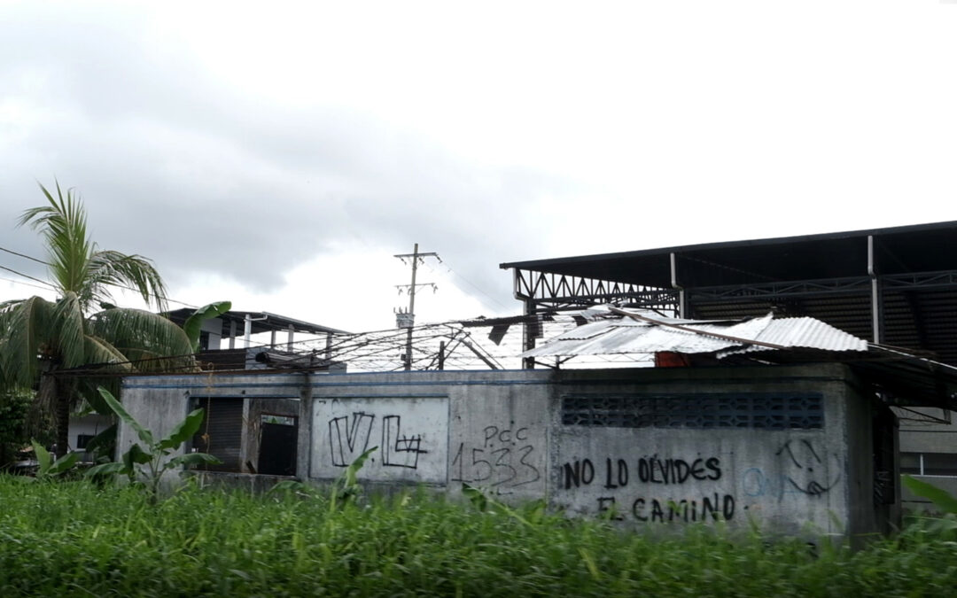 AMAZÔNIA REAL: Homicídios de indígenas dobram no Amazonas, diz Atlas 2026
