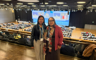 CIR: INCIDÊNCIA INTERNACIONAL: SINEIA DO VALE E KELLIANE WAPICHANA PARTICIPAM EM BONN, NA ALEMANHA, DA REUNIÃO DO CAUCUS INDÍGENA E DA 64ª SESSÃO DOS ÓRGÃOS SUBSIDIÁRIOS DA CONVENÇÃO-QUADRO DAS NAÇÕES UNIDAS SOBRE MUDANÇAS CLIMÁTICAS (SB64)