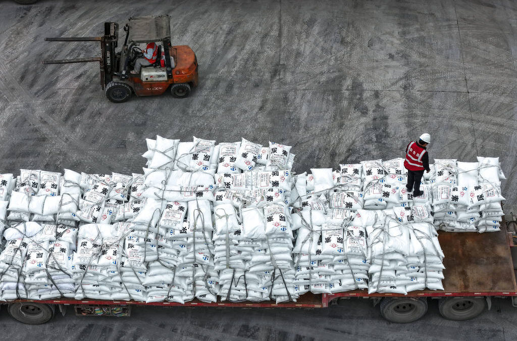 FOLHA DE S. PAULO: Maiores projetos de fertilizantes do país travam em questões sobre impactos a indígenas