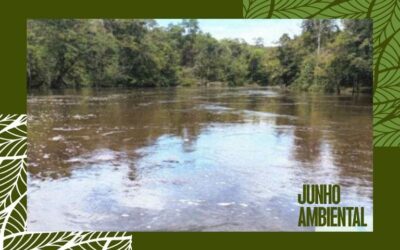 MPF: Junho Ambiental: MPF reúne mineradora e povo Waimiri Atroari para apurar contaminação de rios em terra indígena no AM