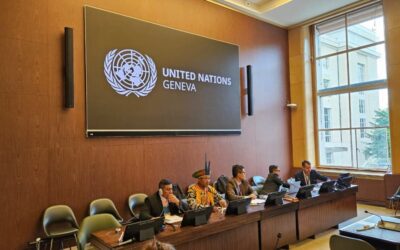 CIMI: Governo Federal institui mecanismo para monitorar recomendações internacionais de direitos humanos
