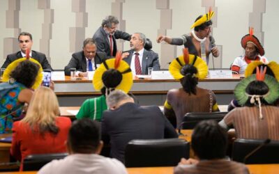 SENADO: Reparação histórica e inclusão: entenda a criação da Universidade Federal Indígena