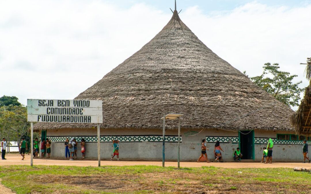 ISA: Lideranças Yanomami e Ye’kwana pedem ao governo brasileiro estratégia binacional contra garimpo e malária