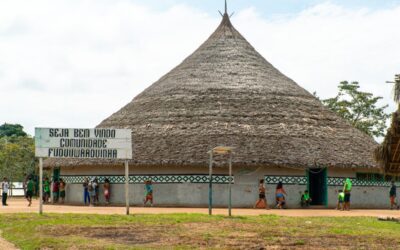 ISA: Lideranças Yanomami e Ye’kwana pedem ao governo brasileiro estratégia binacional contra garimpo e malária