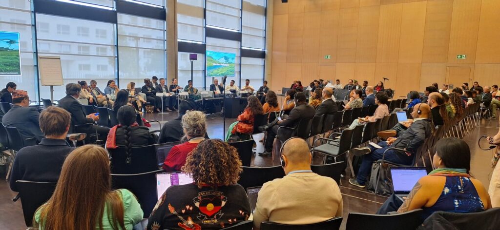 OPAN: Governança climática em questão