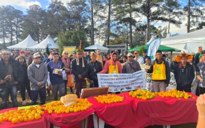 FLD: Presença Guarani na Jornada de Agroecologia fortalece o diálogo entre ancestralidade, território e produção de alimentos
