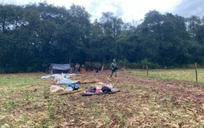 CIMI: TRF4 suspende despejo de Avá-Guarani em Guaíra (PR) e reverte decisão que incluía apreensão de crianças indígenas