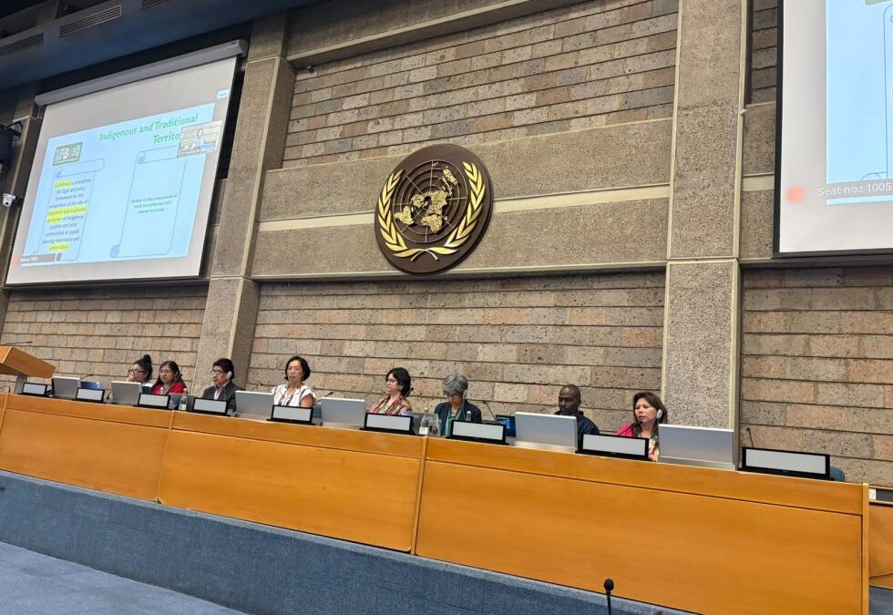 COICA: COICA impulsa en Nairobi el reconocimiento de los Territorios Indígenas y Tradicionales en las negociaciones del Convenio sobre la Diversidad Biológica