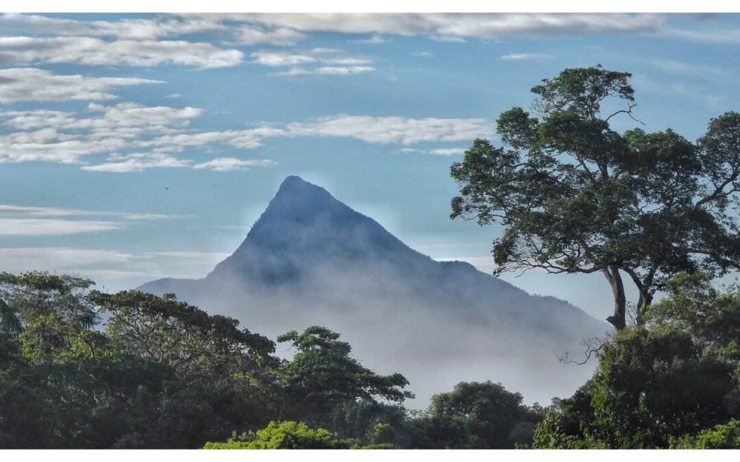 FUNAI: Funai assina carta de anuência para Plano de Visitação Yaripo e fortalece ecoturismo Yanomami no Pico da Neblina