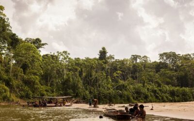 MPF: MPF aciona Justiça para garantir atualização de plano de proteção da Terra Indígena Alto Rio Purus no Acre
