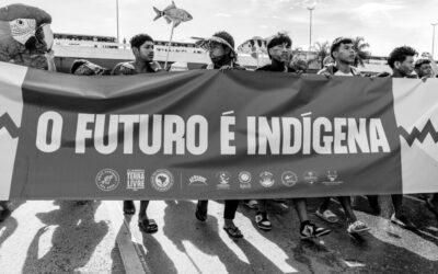 APIB: Carta do movimento indígena brasileiro ao Parlamento Europeu em defesa da implementação integral da EUDR