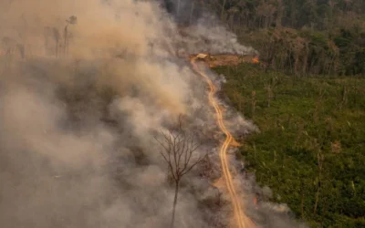 BRASIL DE FATO: Modo de vida dos povos indígenas é antídoto para mudanças climáticas, avalia geógrafo