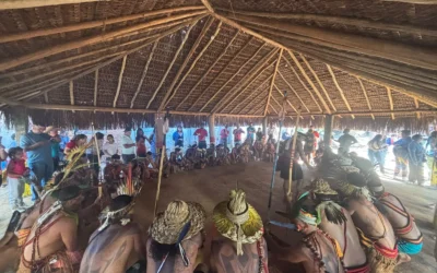 BRASIL DE FATO: Festa comemora resistência e ancestralidade da comunidade indígena Mirueira Pataxó (MG)
