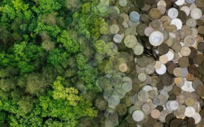 MPF: MPF cobra respostas do governo do PA sobre suspeitas de irregularidades em consultas prévias do Sistema Redd+