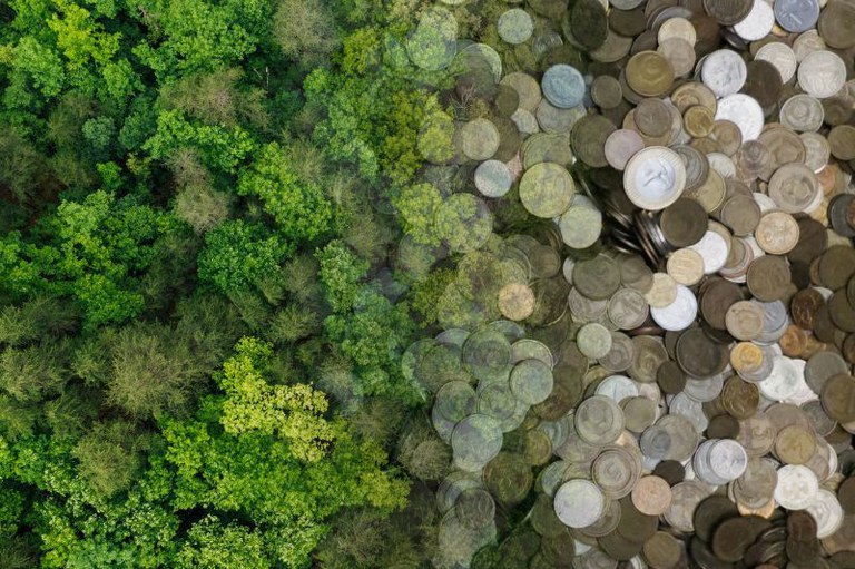 MPF: MPF cobra respostas do governo do PA sobre suspeitas de irregularidades em consultas prévias do Sistema Redd+