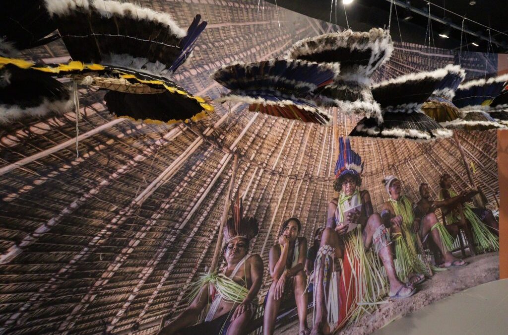 IEPÉ: Museu Goeldi prepara exposição sobre as retomadas dos povos indígenas Katxuyana e Kahyana