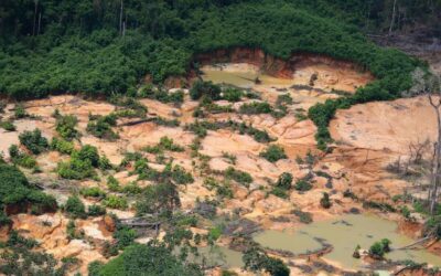 MPF: Justiça Federal nega recurso da ANM e mantém proibição de mineração em terras indígenas em Roraima