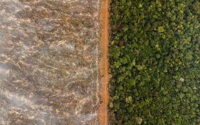 ISA: Cadastro Ambiental Rural (CAR) precisa respeitar direitos de povos e comunidades tradicionais