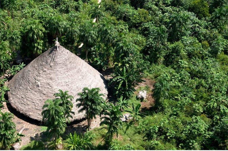 MPF: MPF processa Banco do Brasil por financiar atividade ilegal em terra indígena de Rondônia