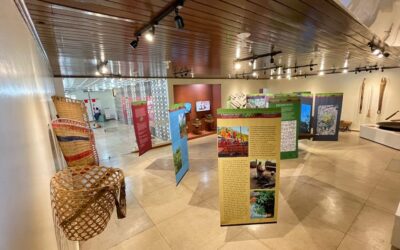 IEPÉ: Pandemia das Roças: exposição entra em suas últimas semanas no Museu Kuahí