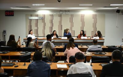 SENADO: CDH: violência e falta de estrutura ameaçam atendimento à saúde indígena