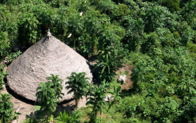 MPF: MPF garante no TRF1 posse tradicional de 75 mil hectares para indígenas e anula títulos privados em Mato Grosso