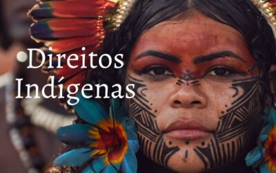 MPF: MPF requisita inquérito à Polícia Federal e recomenda medidas contra invasões em terra indígena no Pará