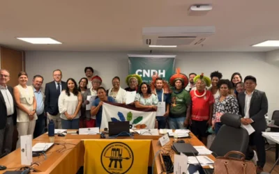 CIR: Comissão de lideranças indígenas de Roraima participa de reunião ordinária do Conselho Nacional dos Direitos Humanos e apresenta crimes contra povos indígenas do estado, entre eles o caso Gabriel Ferreira
