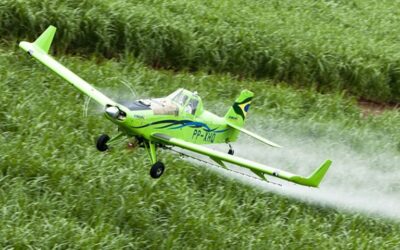 MPF: MPF obtém condenação de responsáveis por pulverização aérea de agrotóxicos na Terra Indígena Serra da Moça (RR)