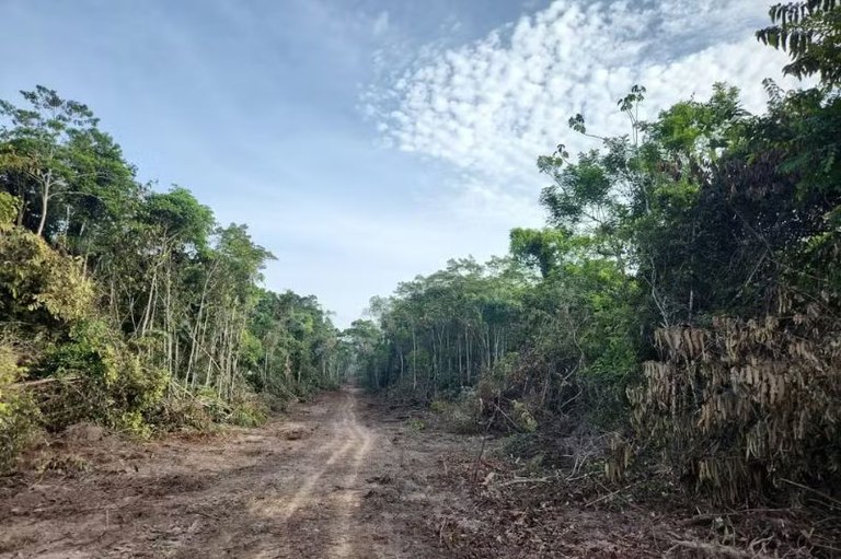MPF: MPF cobra governo do Acre por descumprimento de acordo que prevê bloqueio do Ramal Barbary, no interior do estado