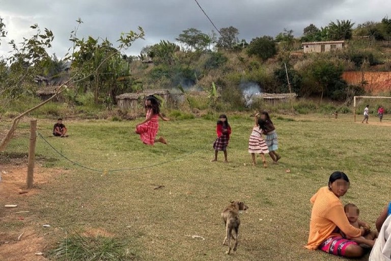 MPF: MPF destina R$ 1,9 milhão ao projeto Hãmhi – Terra Viva para reflorestamento dos territórios indígenas Maxakali em MG