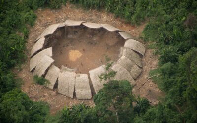 CIMI: Cimi leva a mecanismo da ONU informações sobre invasão de território Piaci no Pará e omissão do Estado brasileiro